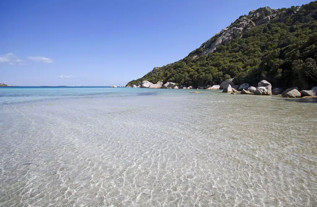 Photo de la plage de Santa Giulia en été